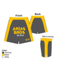 WOMENS Arias Bros Jiu Jitsu Team Alt Shorts