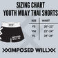 YOUTH Madhouse Fight Team Hybrid Thai Shorts